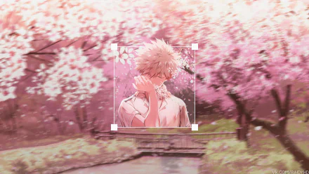 Katsuki Bakugou from My Hero Academia is featured in a vibrant anime 4K Ultra HD PC desktop wallpaper with a picture-in-picture effect amid pink cherry blossoms.