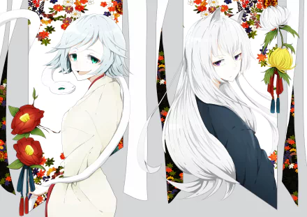Tomoe (Kamisama Kiss) Mizuki (Kamisama Kiss) Anime Kamisama Kiss HD Desktop Wallpaper | Background Image