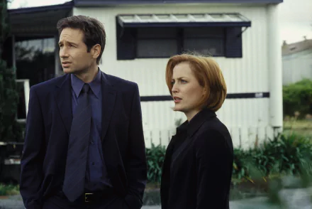 Fox Mulder David Duchovny Dana Scully Gillian Anderson TV Show The X-Files HD Desktop Wallpaper | Background Image