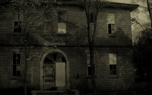 Dark Haunted House Night Black Grey Tree HD Wallpaper | Background Image