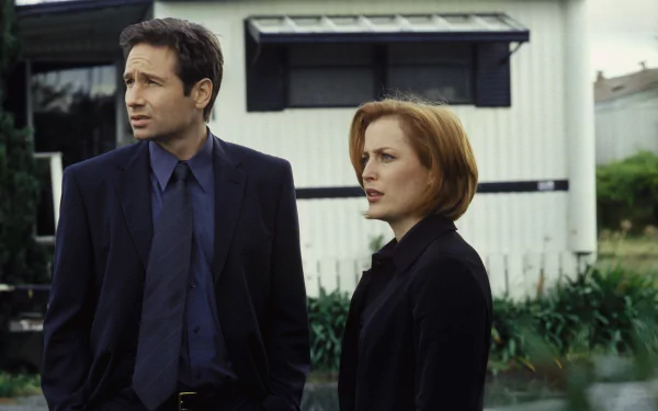 Fox Mulder David Duchovny Dana Scully Gillian Anderson TV Show The X-Files HD Desktop Wallpaper | Background Image