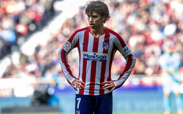 soccer Portuguese Joao Felix Sports HD Desktop Wallpaper | Background Image