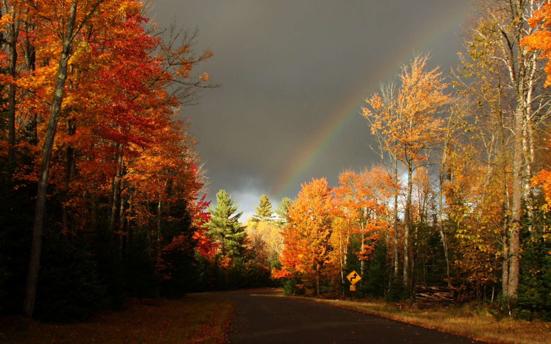 Arc-en-ciel Fond d’écran HD | Arrière-Plan | 2560x1600 | ID:114332