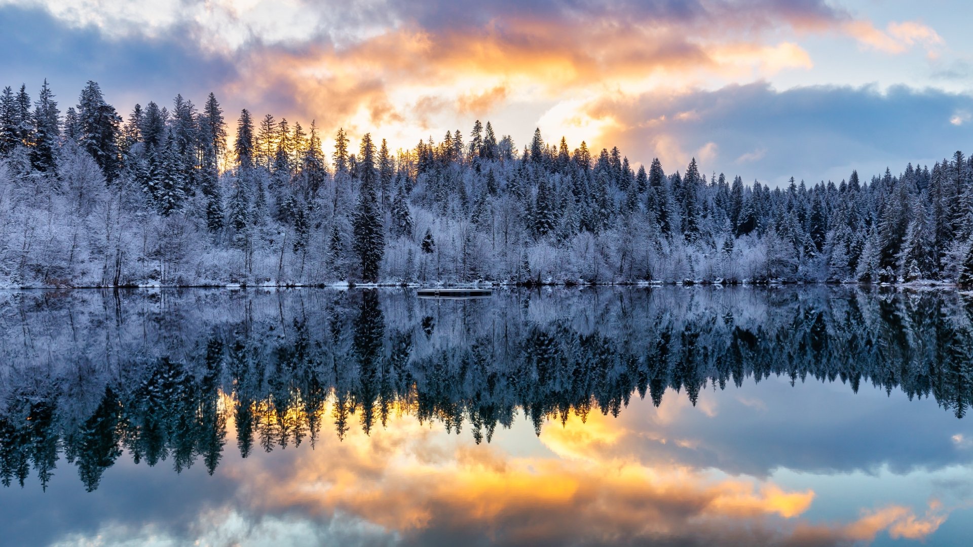 2K Quad HD PC desktop wallpaper/background — winter nature scene: snow-covered forest and trees reflected in a calm lake beneath a colorful sunrise.