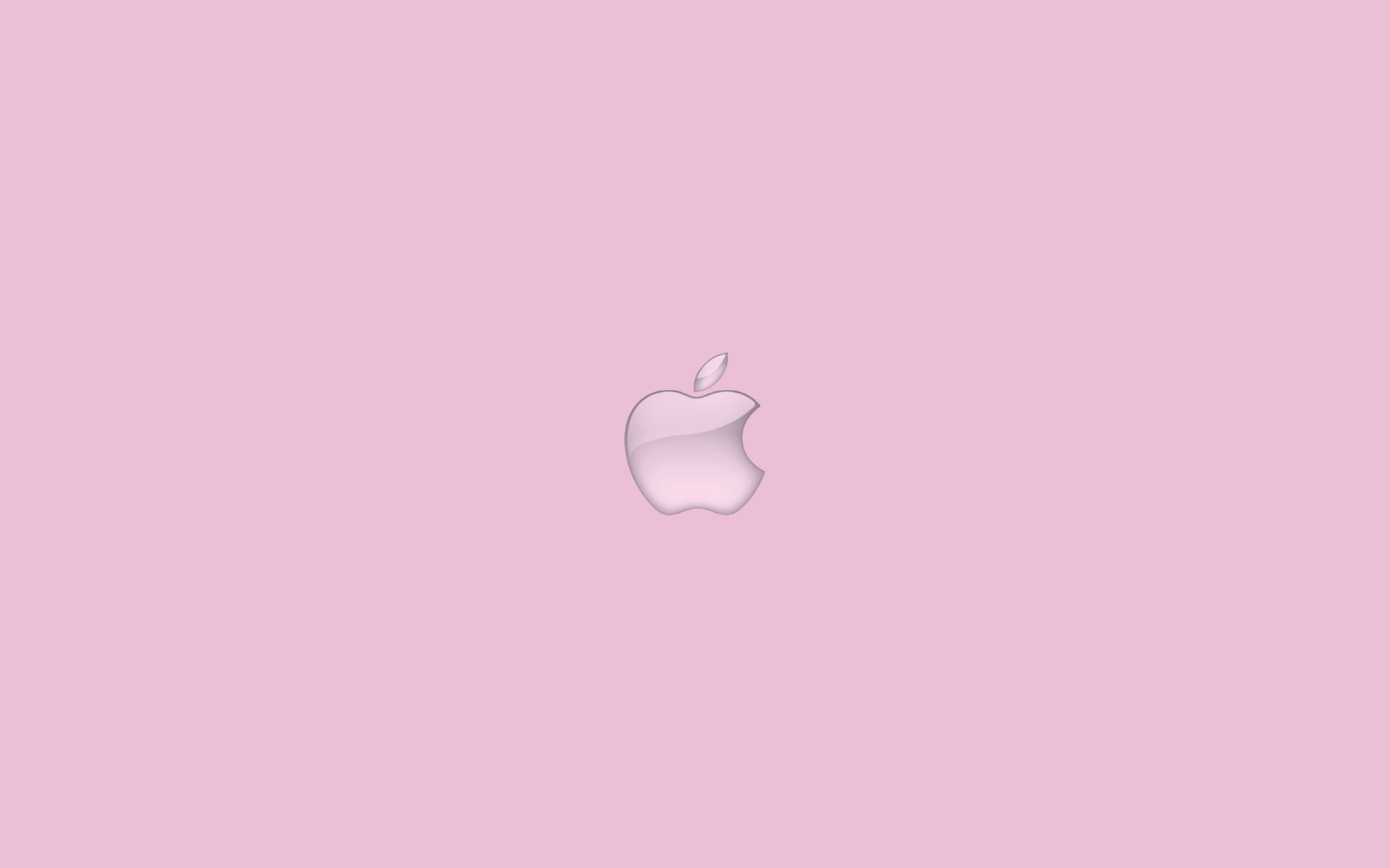 Light Pink Carnation Flowers MacBook Air Wallpaper Download   AllMacWallpaper