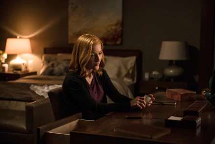  Special Agent Dana Scully