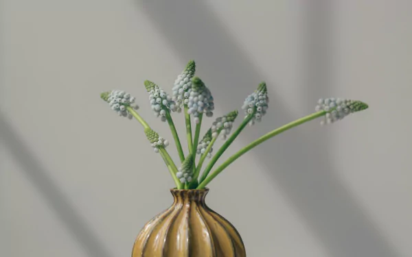 vase man made flower HD Desktop Wallpaper | Background Image