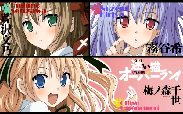 Anime HD PC desktop wallpaper and background from Mayoi Neko Overrun!: a tri-panel anime collage of three girls—green-eyed brown hair, purple hair, and blonde—posed with the series logo and Japanese text.