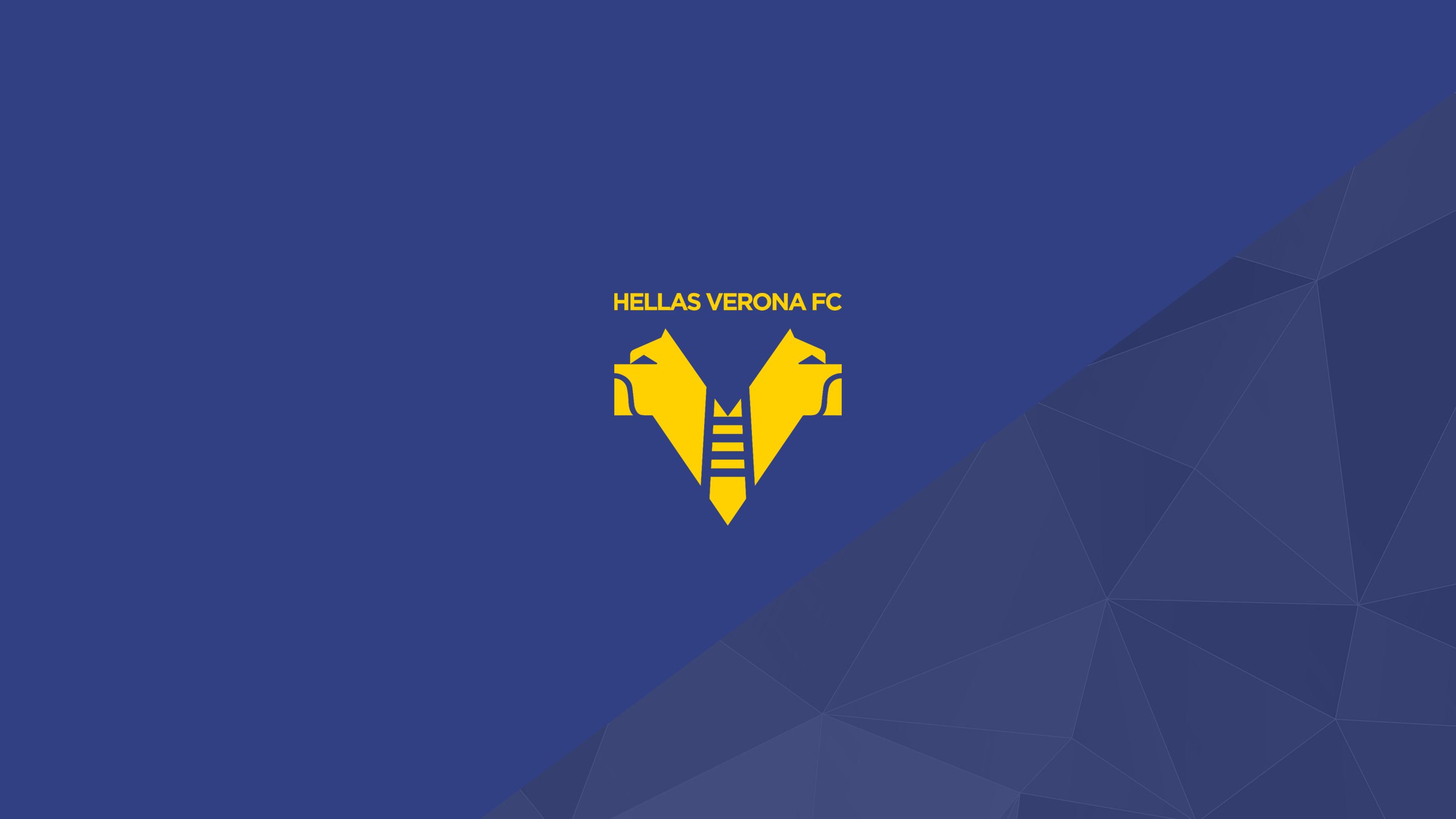 Hellas verona fc Stock Photos, Royalty Free Hellas verona fc Images