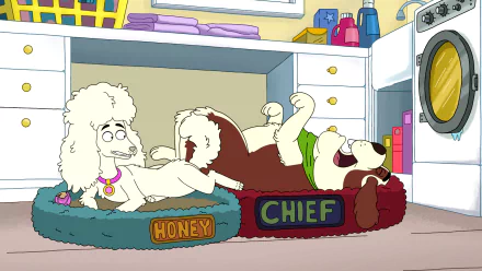 TV Show Housebroken HD Desktop Wallpaper | Background Image