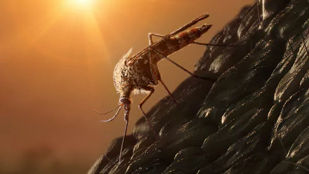 mosquito movie Jurassic World: Dominion HD Desktop Wallpaper | Background Image