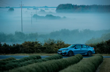  Blue BMW 220i Gran Coupé M Sport Worldwide (F44)