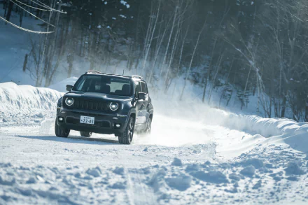  Jeep Renegade Trailhawk 4xe (BU)