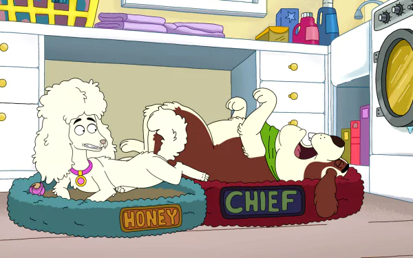 TV Show Housebroken HD Desktop Wallpaper | Background Image