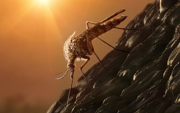 mosquito movie Jurassic World: Dominion HD Desktop Wallpaper | Background Image