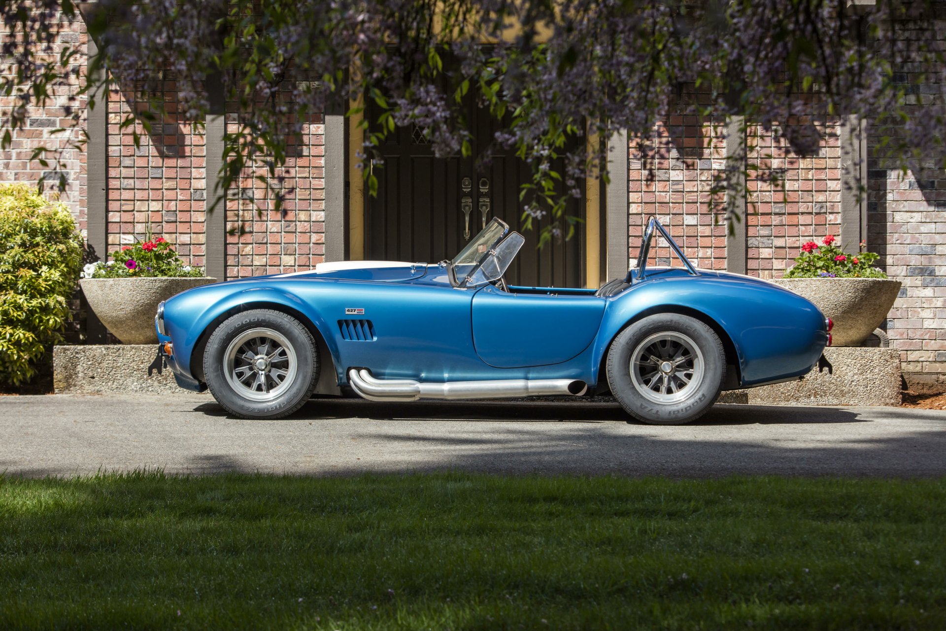 Download Vehicle Shelby Cobra 427 4k Ultra HD Wallpaper