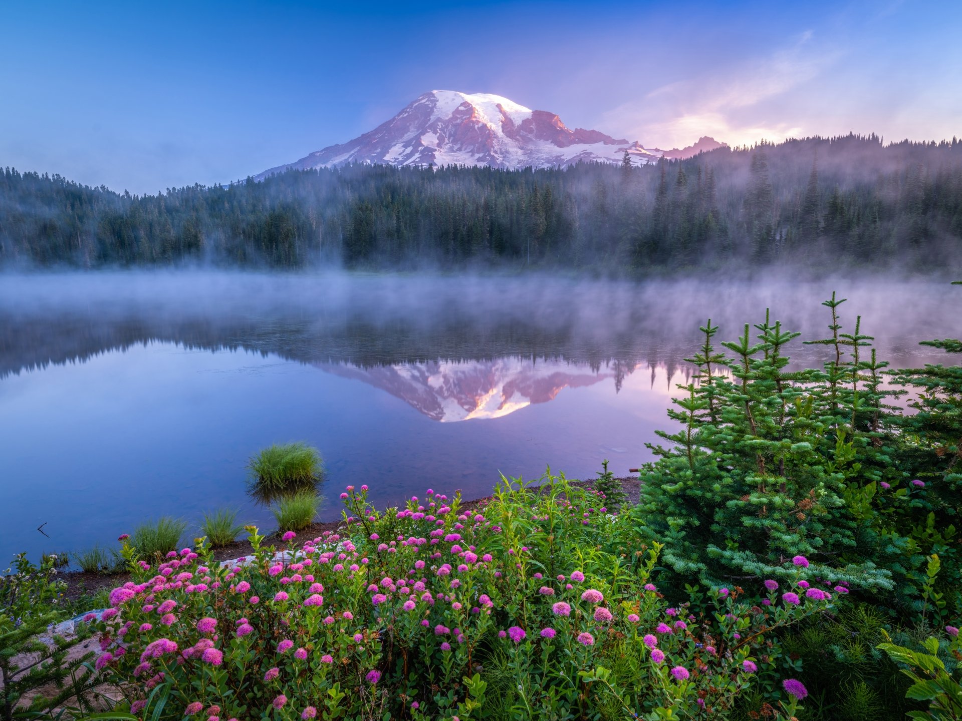 Download Cascade Range Nature Mount Rainier 8k Ultra HD Wallpaper