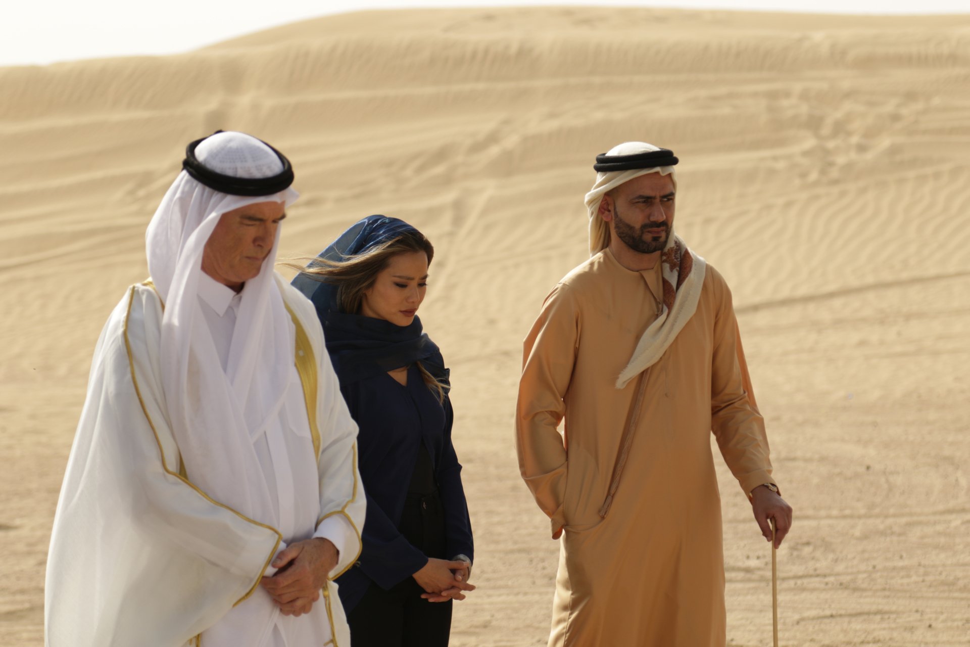 Download Jamie Chung Pierce Brosnan Movie The Misfits 4k Ultra HD Wallpaper