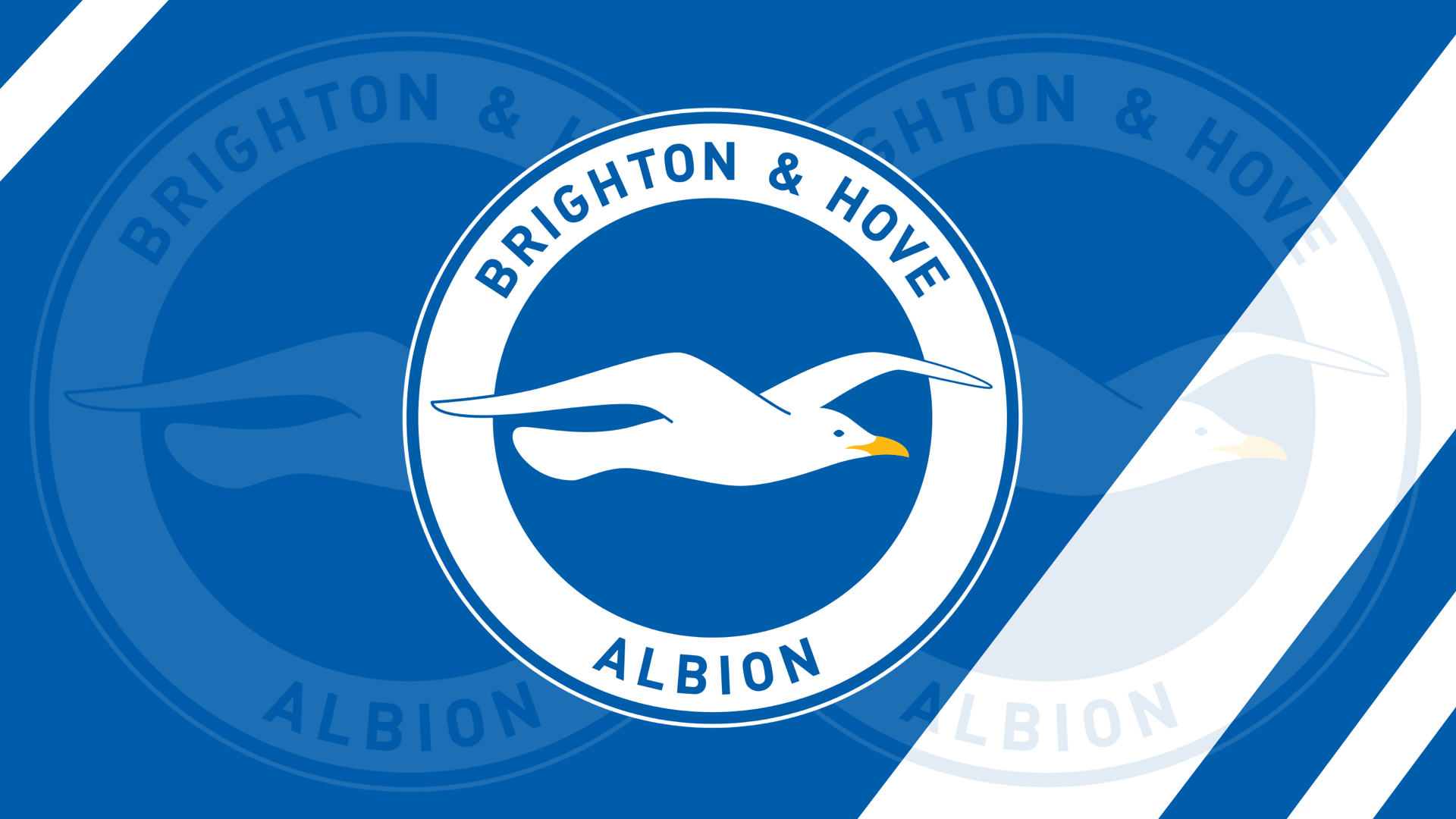 Download Emblem Soccer Logo Brighton & Hove Albion F.C. Sports HD Wallpaper