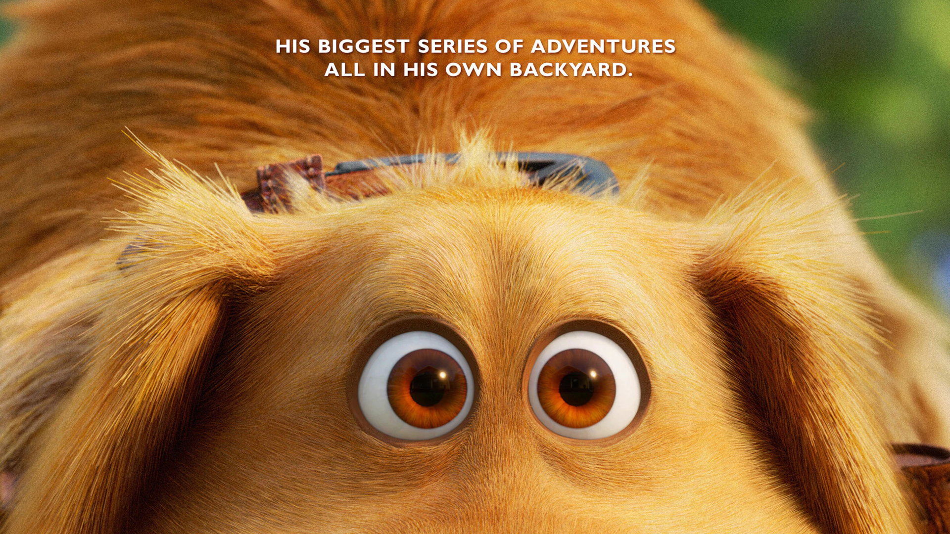 Download Dug (Up) TV Show Dug Days HD Wallpaper