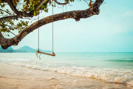 ocean photography swing HD Desktop Wallpaper | Background Image
