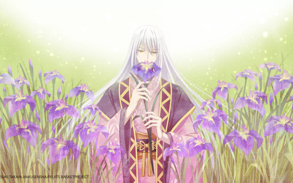  Ayame