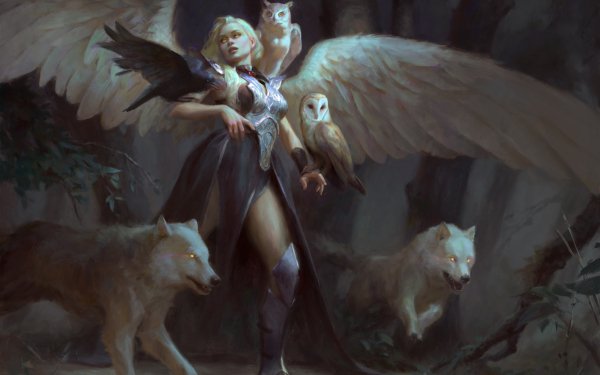 Fantasy Angel HD Wallpaper | Background Image