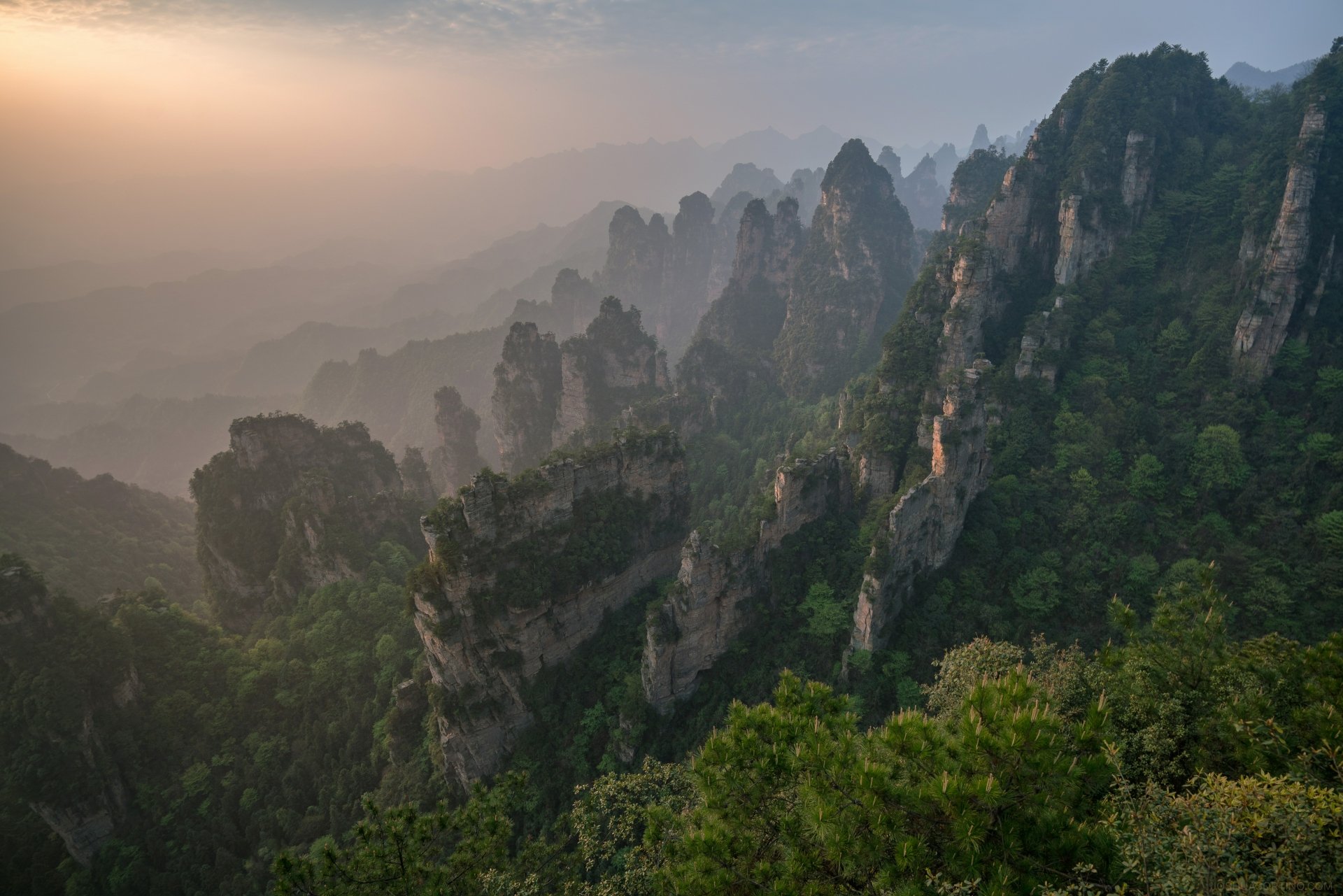 Misty mountain peaks rise above dense forest in Zhangjiajie National Forest Park, captured in stunning detail as an 8K Ultra HD PC desktop wallpaper.