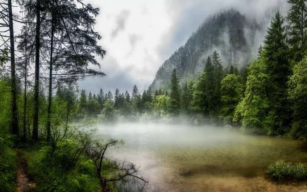 Fog gently rises over a serene lake surrounded by dense forest and towering mountains in Austria, captured in stunning 4K Ultra HD quality.