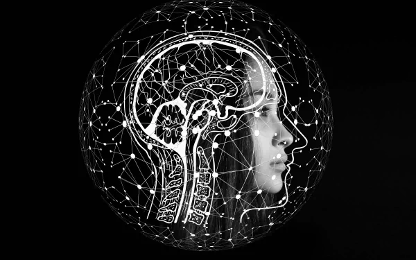  Brain Artificial intelligence Human HD by geralt-9301