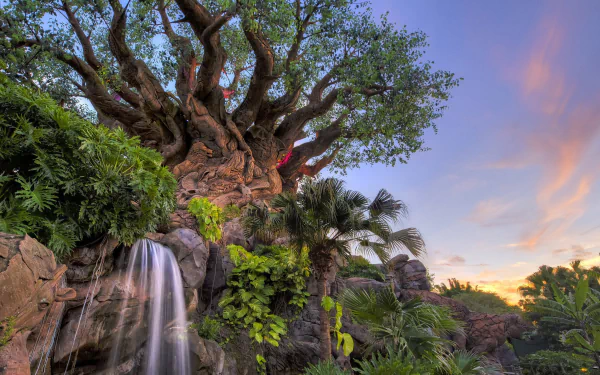  Walt Disney Resort