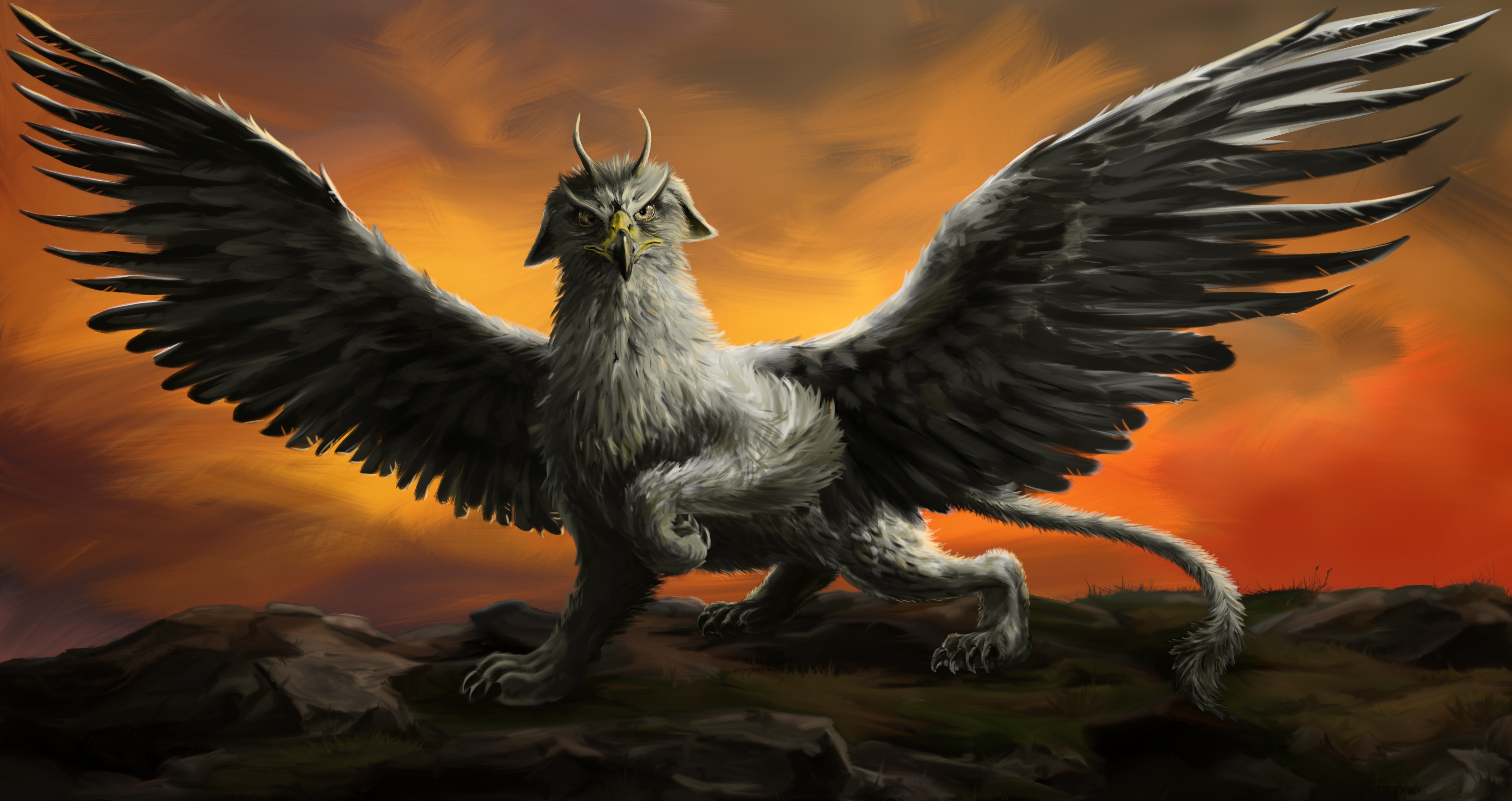 Fantasy Griffin HD Wallpaper | Background Image