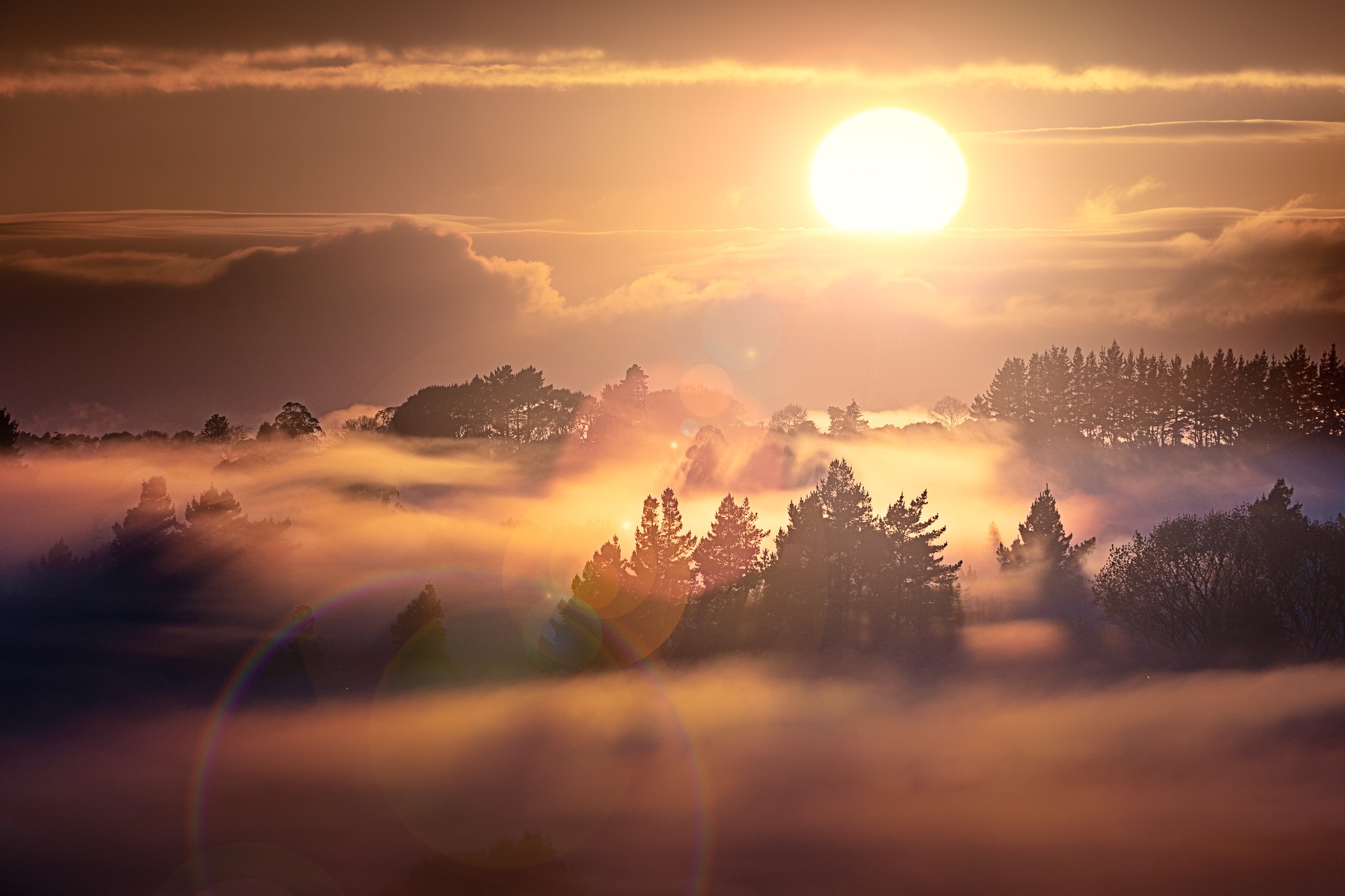 Nature Sunrise HD Wallpaper | Background Image