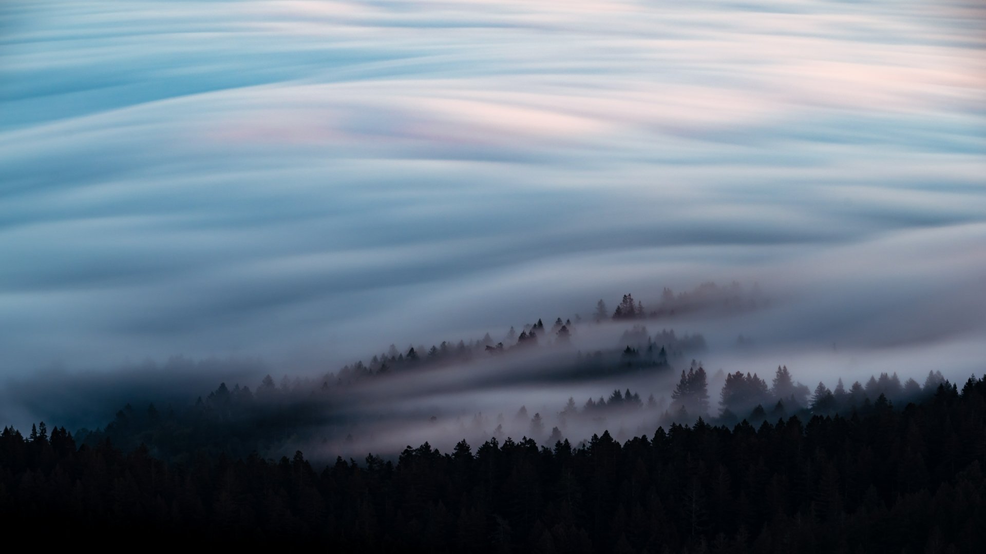 8K Ultra HD PC desktop wallpaper: a sea of clouds and fog rolling over a dark forested ridge, soft pastel light across layered mist.