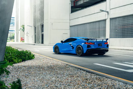 vehicle Chevrolet Corvette (C8) HD Desktop Wallpaper | Background Image