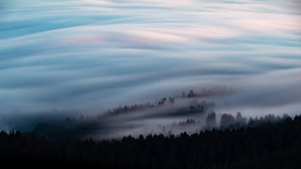 8K Ultra HD PC desktop wallpaper: a sea of clouds and fog rolling over a dark forested ridge, soft pastel light across layered mist.