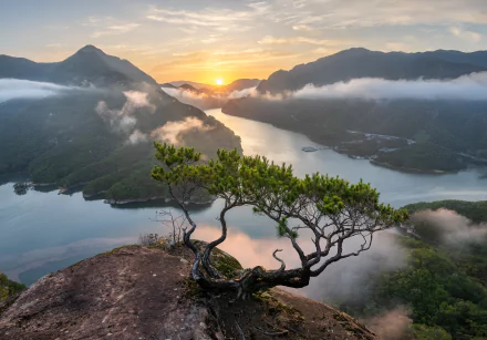 South Korea nature landscape HD Desktop Wallpaper | Background Image