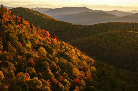 4K Ultra HD wallpaper showcasing a mountain landscape with dense autumn foliage under soft golden light, highlighting nature's vibrant colors and serene beauty.