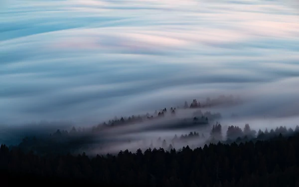  Mount Tamalpais Fog wave by Zetong Li