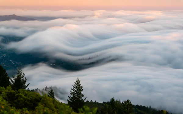  Mount Tamalpais Fog wave by Zetong Li