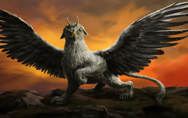 fantasy griffin HD Desktop Wallpaper | Background Image