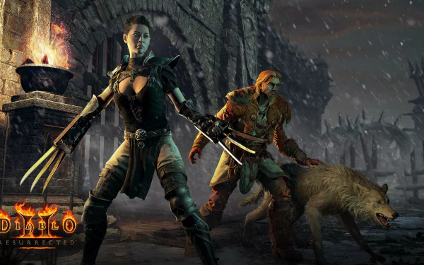 HD wallpaper of Diablo II: Resurrected featuring an Amazon warrior and a Druid with his wolf companion ready for battle.