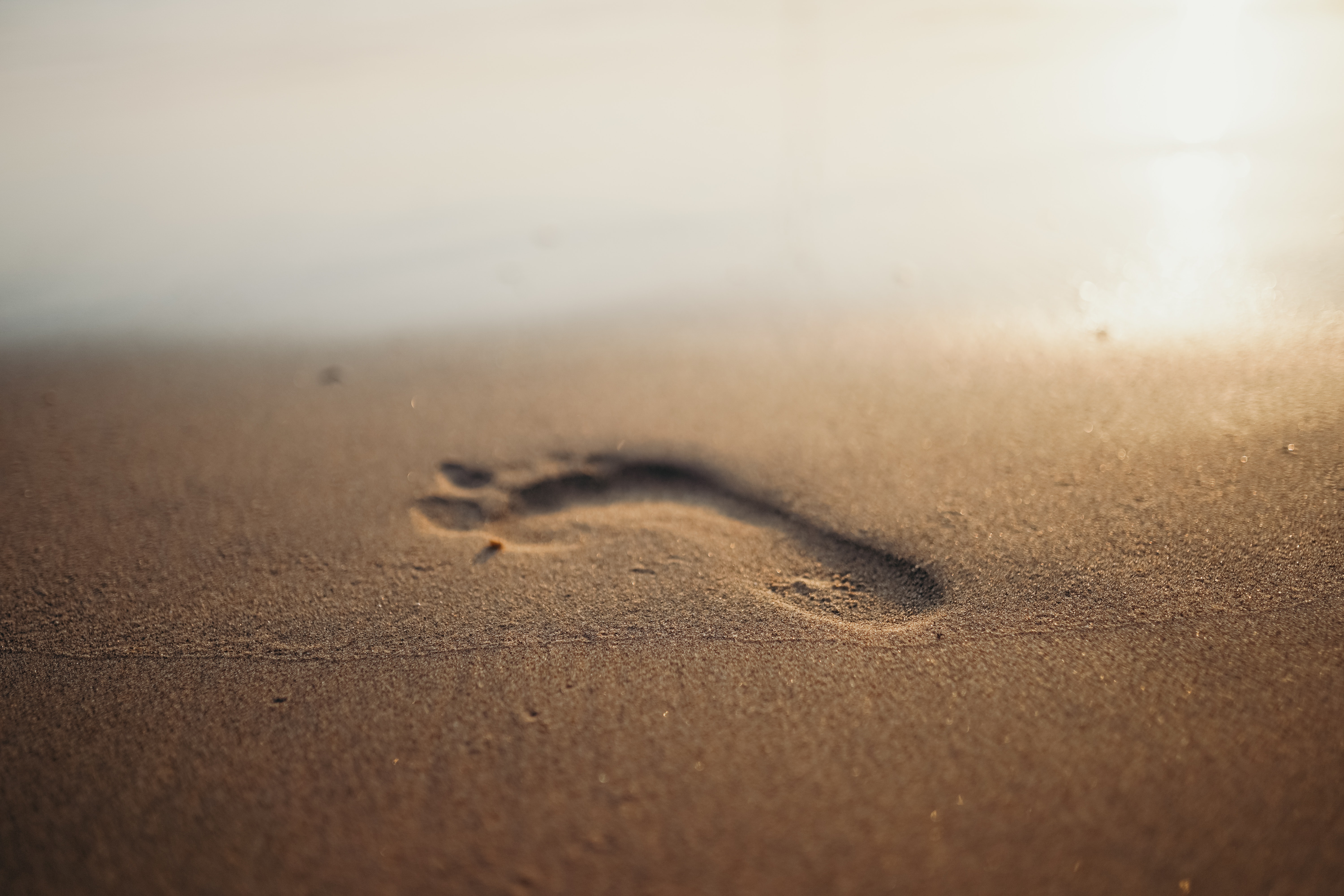 Footprints in the sand by cottonbro