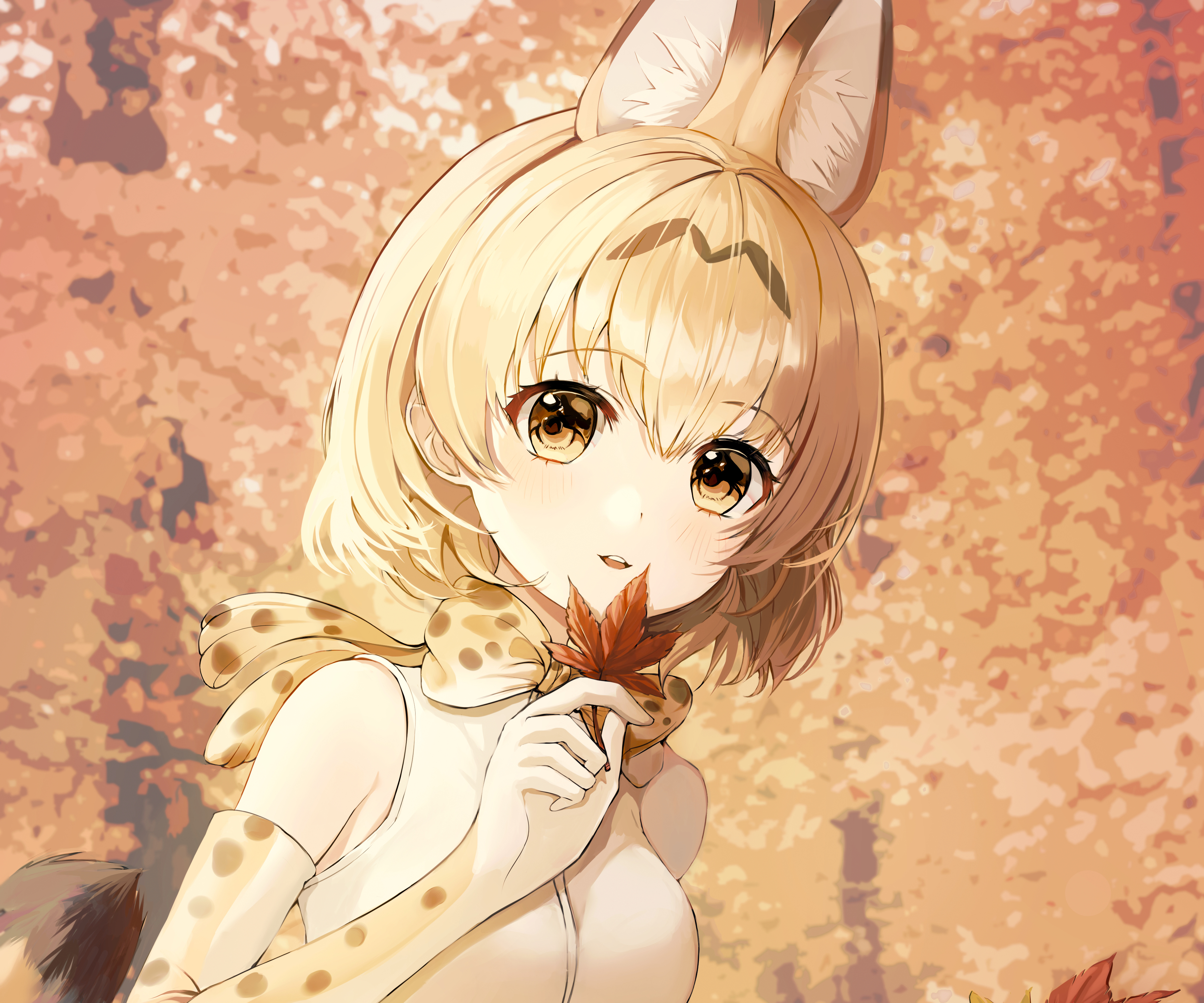 Anime Kemono Friends HD Wallpaper | Background Image