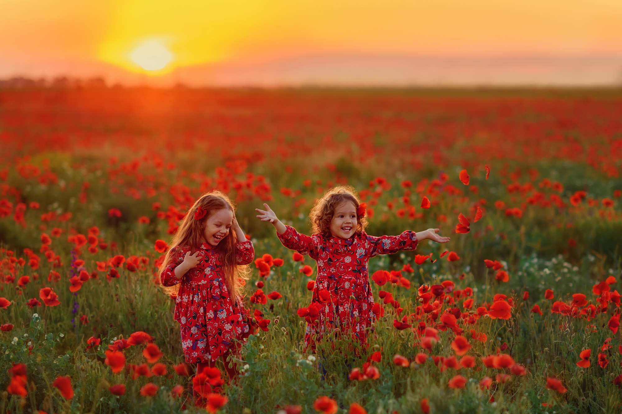 Download Little Girl Red Flower Sunset Photography Child HD Wallpaper