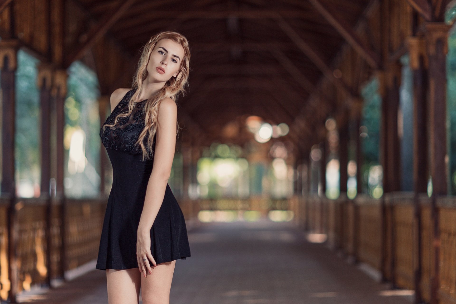 Download Depth Of Field Black Dress Blonde Woman Model HD Wallpaper by ...