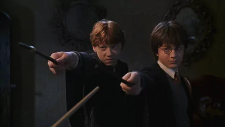  Put Your Wand Down