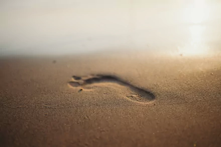 Footprints in the sand by cottonbro