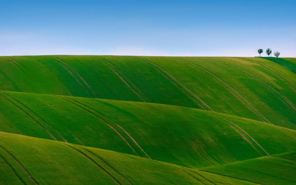 hill nature field HD Desktop Wallpaper | Background Image