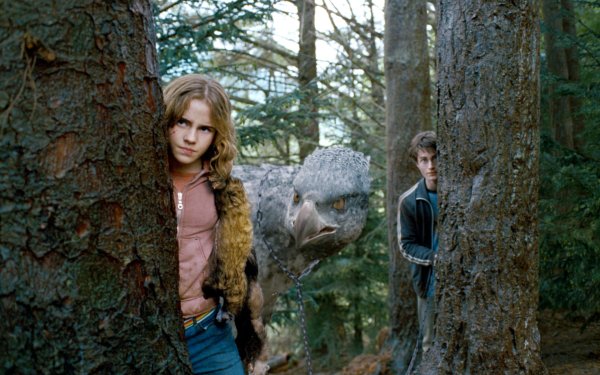Movie Harry Potter and the Prisoner of Azkaban Harry Potter Hermione Granger Emma Watson Daniel Radcliffe Buckbeak HD Wallpaper | Background Image